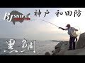爆釣 黒鯛 チヌ 神戸和田防 前打ち BJスナイパーオーナーズクラブ ダイワフィールドテスター 倉田保夫