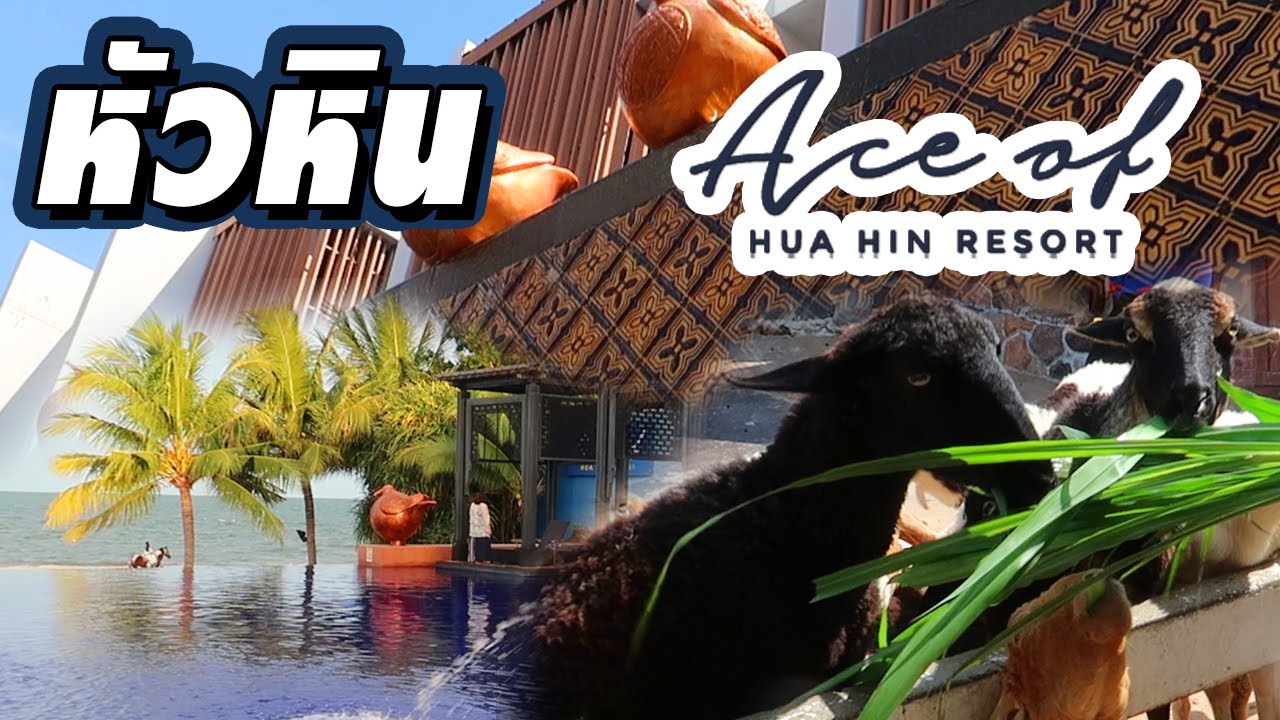 เที่ยวหัวหิน พัก Ace Of Hua-Hin Resort ชิมร้านอาหารเจ๊นงค์ซีฟู้ด แวะเที่ยว พันธ์สุข 1000 สุข ชะอำ