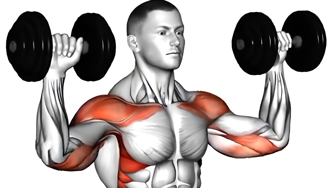 20 minute Upper body Dumbbell Workout [ Build Muscle & Strength ] - YouTube