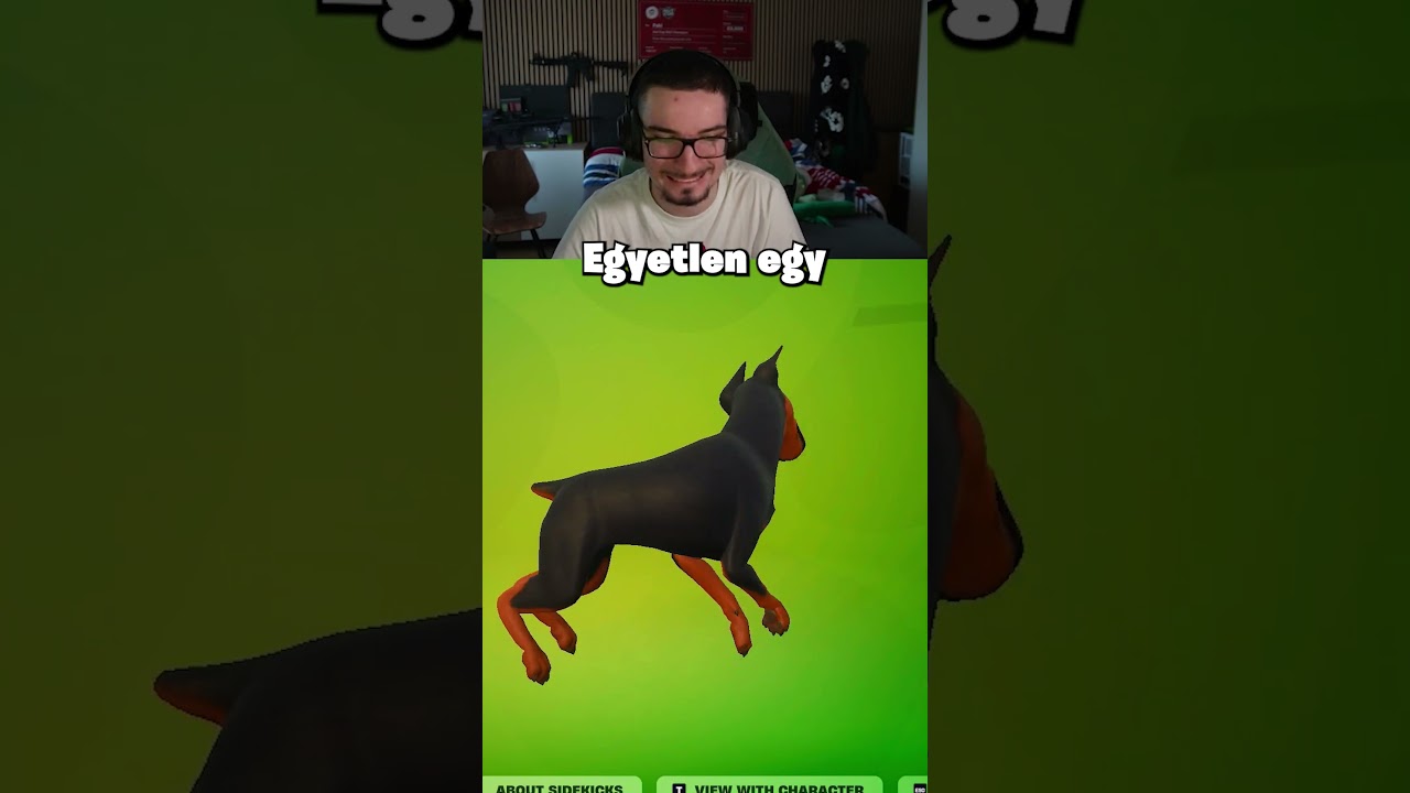 Saj&aacute;t Kuty&aacute;m a Fortniteban? 😱🐕 #faki #fortnite #gaming #magyar