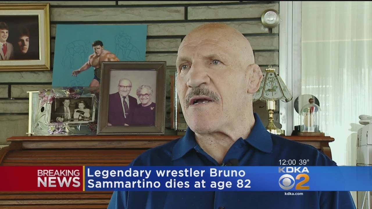 WWE Hall of Famer Bruno Sammartino Dies at 82 as Hulk Hogan and Other Stars ...