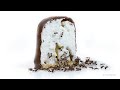 Ants Eating Marshmallow | Relaxing Music