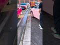 9天後貓貓媽媽帶著被救出的流浪小奶貓，在獲救的地點四處尋找它的救命恩人 #cat #cats  #catlover   #catvideos   #catshorts