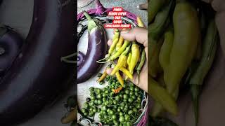 Panen Bumbu Dapur dan Sayuran di Halaman Rumah #leunca #terongungu #kunyit #jaheemprit  #caberawit