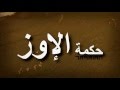 روح الفريق حكمة الإوز 