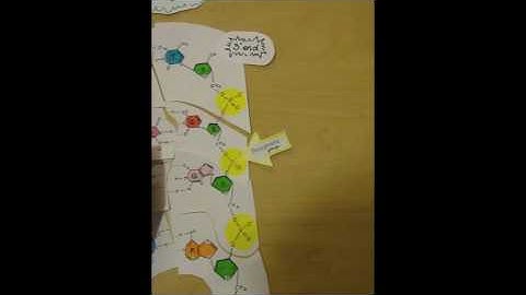DNA Enzyme Model: Helicase & Nuclease