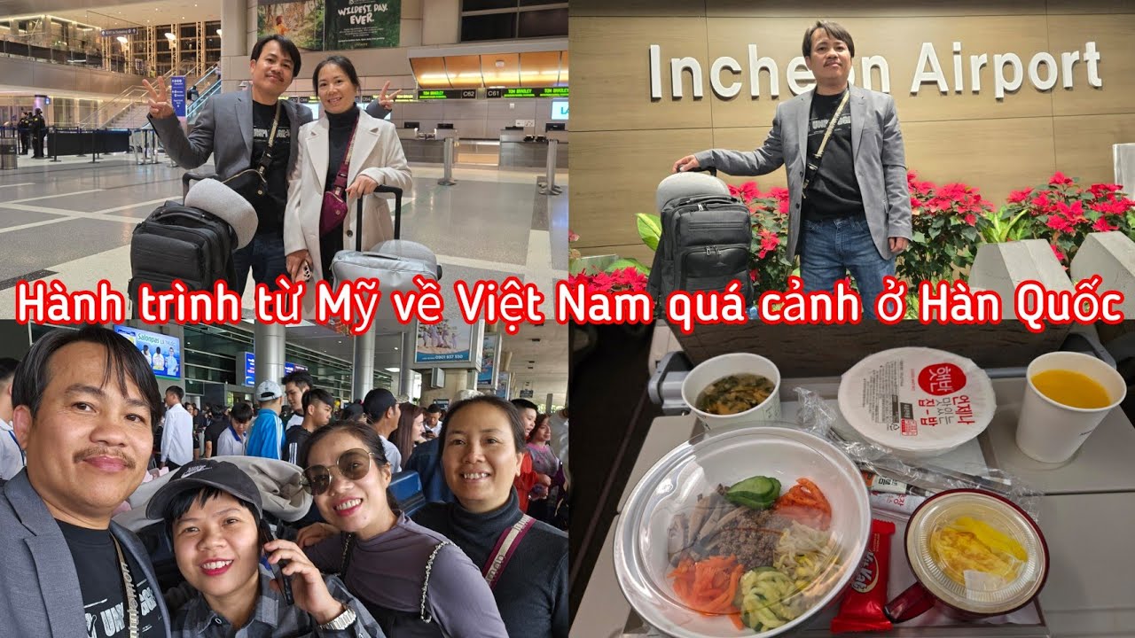 Hành trình từ Mỹ về Việt Nam, quá cảnh ở Hàn Quốc | Journey from the US to Vietnam, transit in Korea