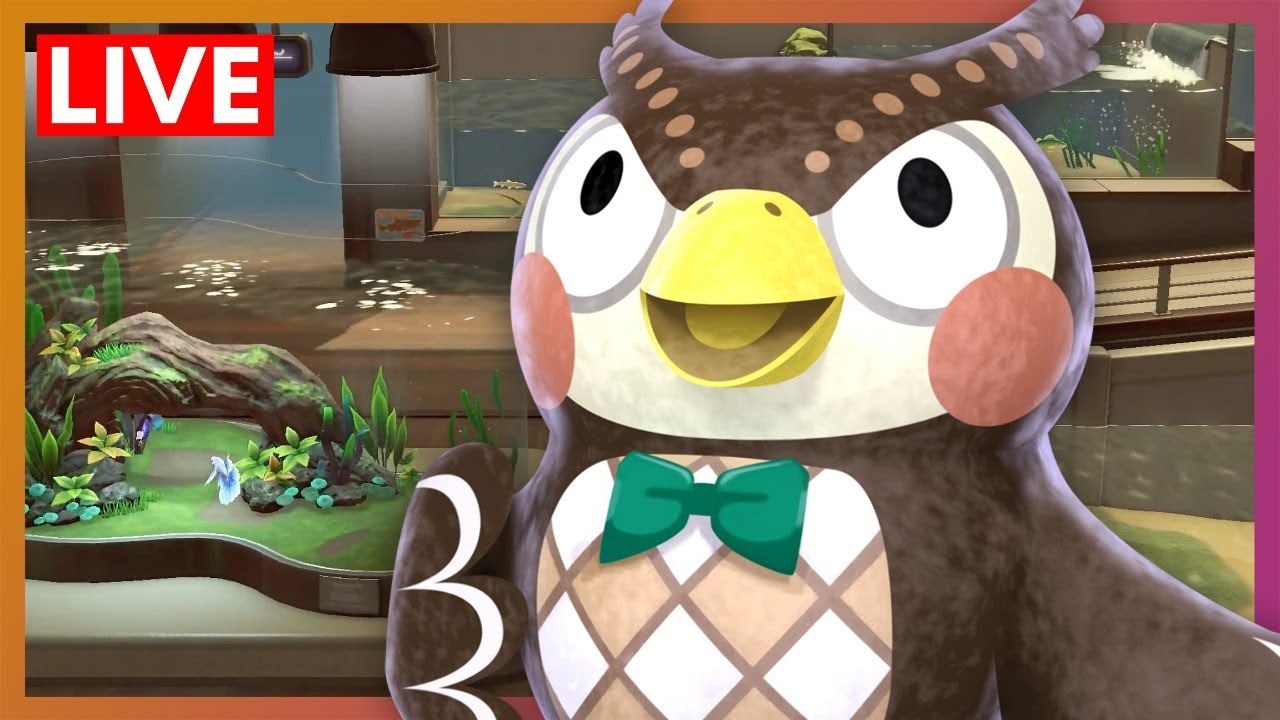 Museum Day Event! | Animal Crossing New Horizons LIVE