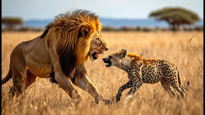 DEADLY LION ATTACKS: The Most Horrific Lion Fights with Other Animals