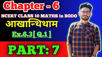 Chapter: 6 | Triangles Class 10 maths BODO MEDIUM | part 7