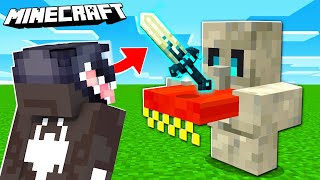 MINECRAFT, ale TUFF GOLEM DAJE CUSTOMOWE ITEMY! *szalone*