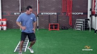 Roll Out Ladder