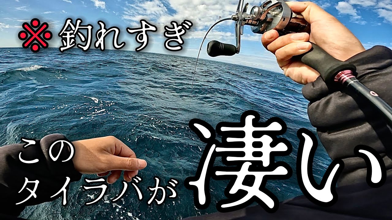 【タイラバ】話題のタイラバは圧倒的実釣能力を兼ね備えていました。