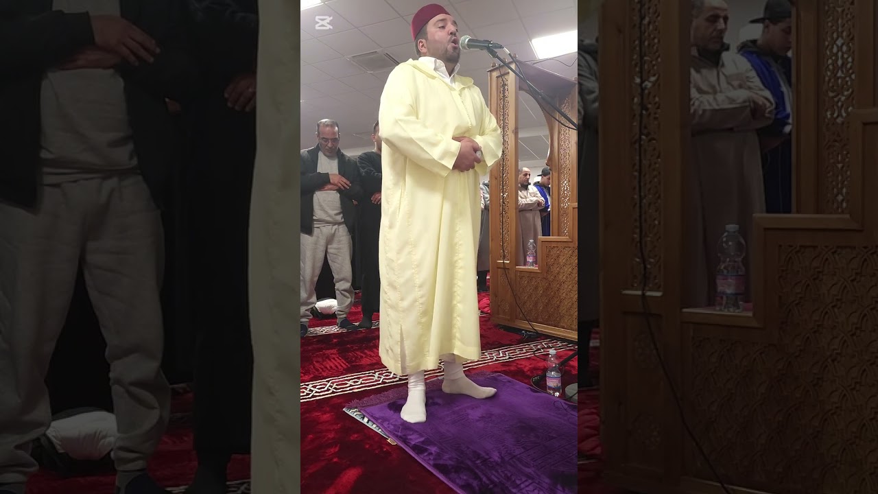 #القارئ_منصف_برومي