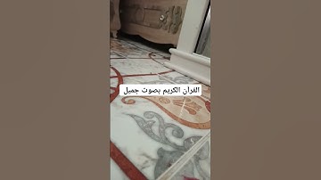 القرآن الكريم بصوت جميل #لايك #قرآن #الحياه #اكسبلور #قران_كريم #quran #qoraniyat421 #تيك_توك