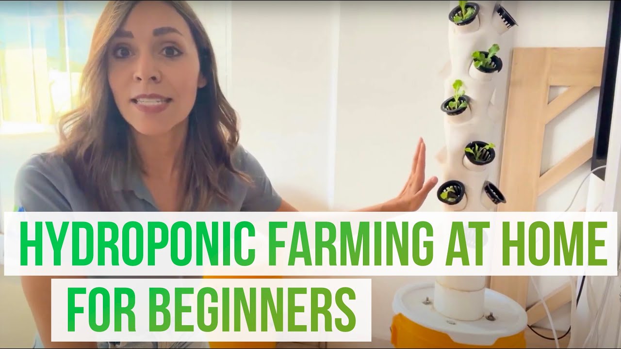 Hydroponics for Beginners: Make a Hydroponic Farming System at Home ...