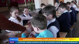 В школьных столовых появится больше молока
