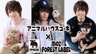 あのヘラジカさんとアニマルハウスの子達が仲良くコラボレーション♪