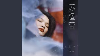 猫猫