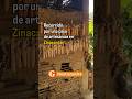 Recorrido por casa de artesanias!