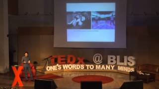 Sound Artistry and Architecture: Emre Erkal at TEDxYouth@BLIS