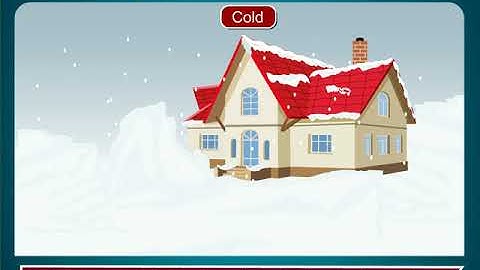 Incredible Science Class 3-Chapter 3-Page Number 29