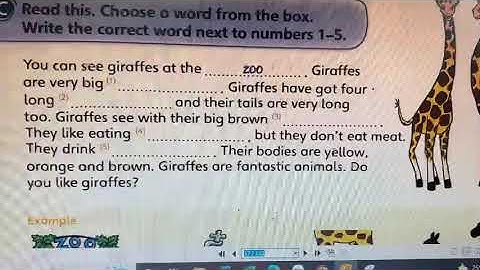 Unit 6c  Fun for starter