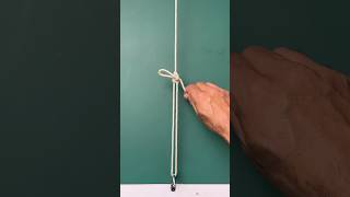 Amazing Farrimond Friction Hitch! #knot #shorts