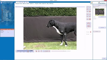 Video Analysis Software TEMPLO - How to import new videos into a trial