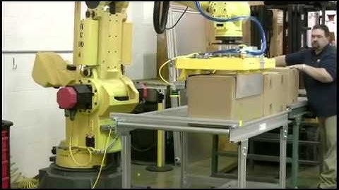 SAS Automation Robotic Carton Palletizer EOAT