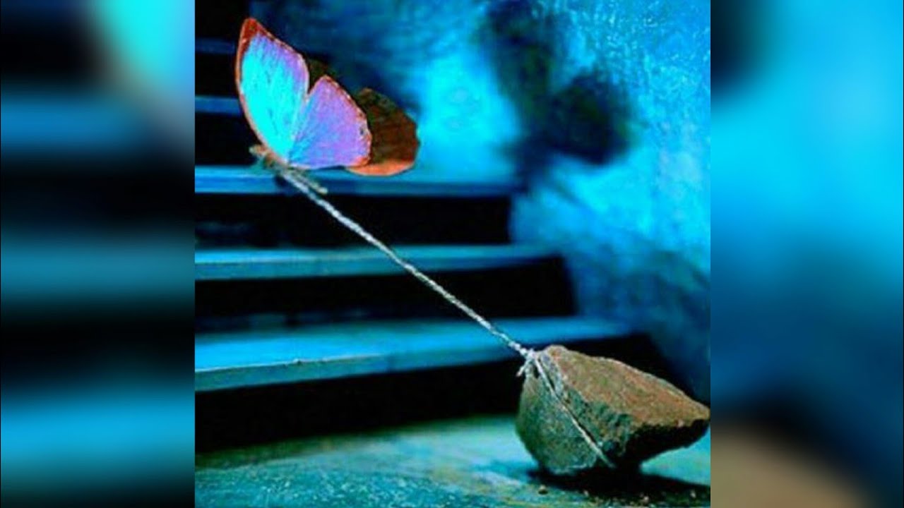 Kaylynn - The Dragging (MY UNOFFICAL VIDEOCLIP)