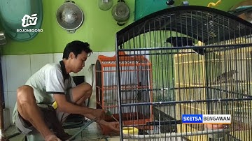 Sekolah Burung di Bojonegoro Berhasil Cetak Burung Murai Unggulan