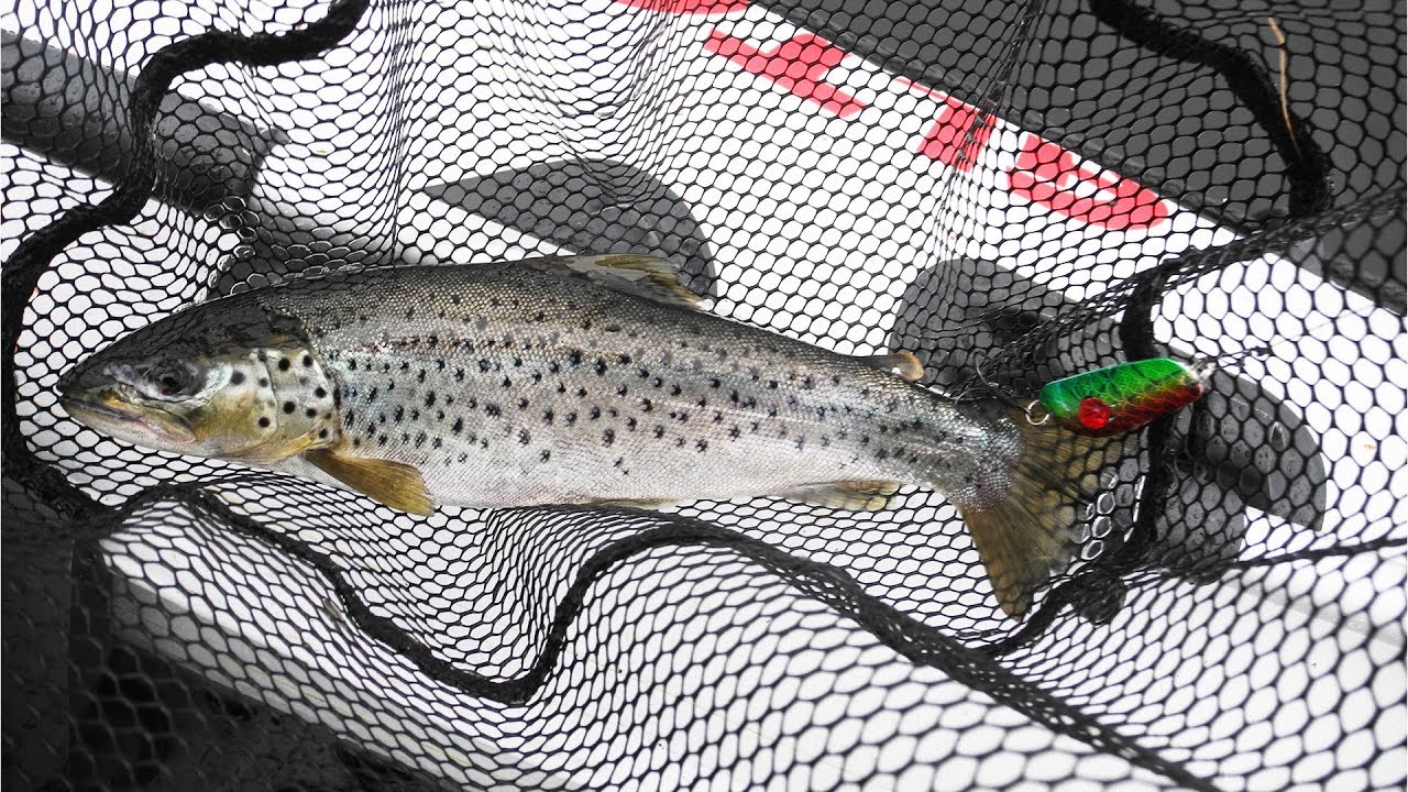 Поиск и ловля кумжи на Ловозере Рыбалка на Кольском полуострове - YouTube