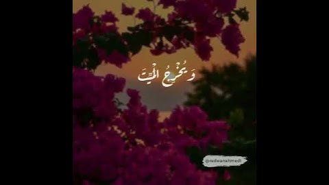 قرآن كريم بصوت عبد الرحمن مسعد | حالات واتس اب دينية.💙🌹