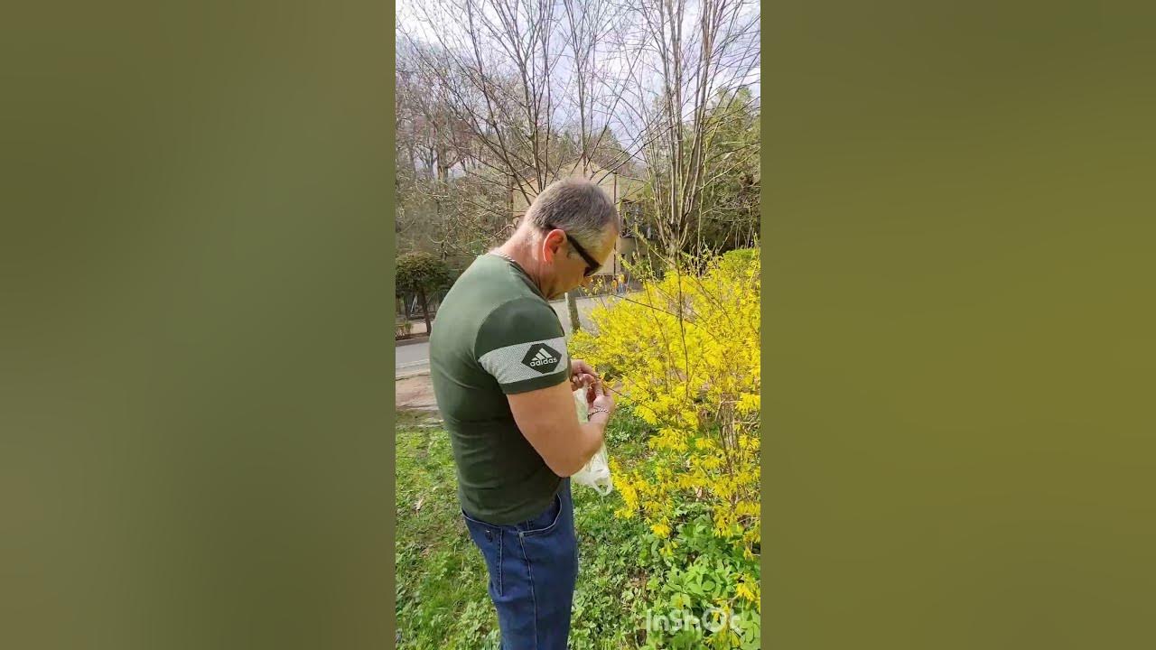 Кавказский чай! - YouTube