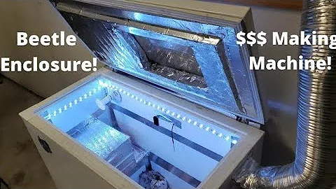 Dermestid Beetles Housing Setup | Skull Cleaning Taxidermy | Cheap!