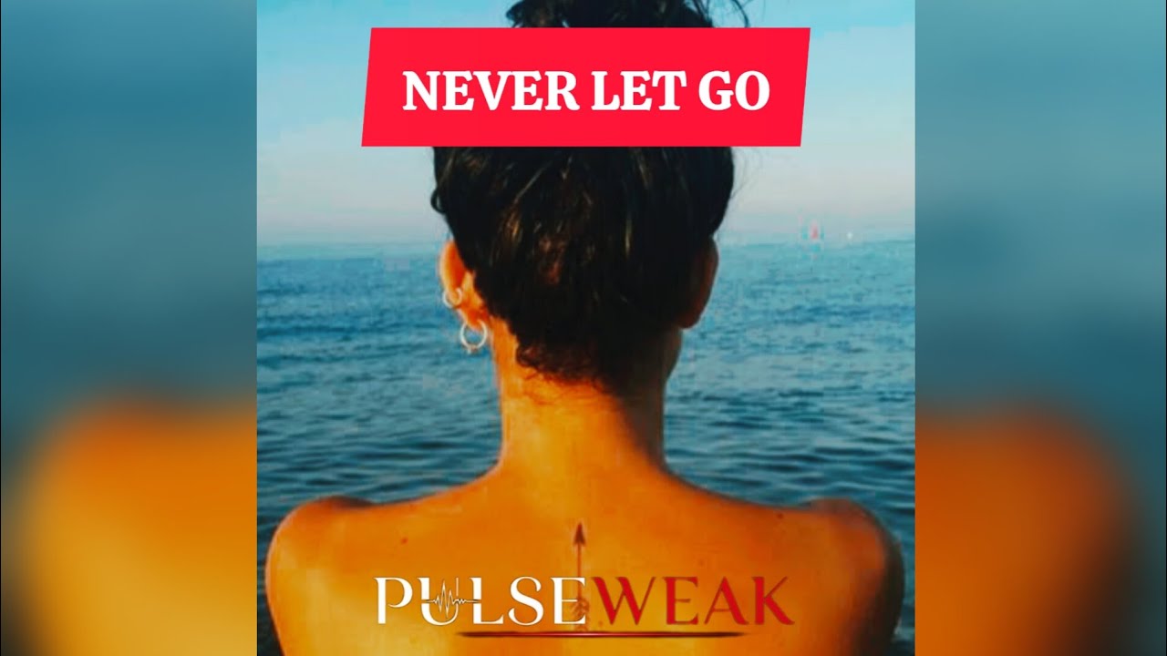 PULSEWE∆K - Never Let Go Ft. Penny Barber (OFFICIAL AUDIO VISUALIZER)