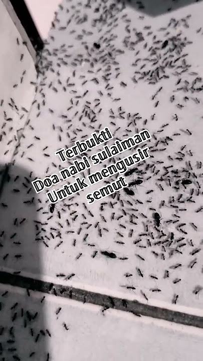 𝔻𝕠𝕒 𝕟𝕒𝕓𝕚 𝕤𝕦𝕝𝕒𝕚𝕞𝕒𝕟#mengusir 𝕤𝕖𝕞𝕦𝕥#kisah ℝ𝕒𝕥𝕦 𝕤𝕖𝕞𝕦𝕥
