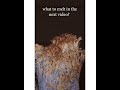 Object Videos Collection