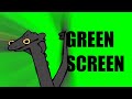 Toothless Dancing Driftveil City GREEN SCREEN