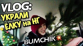 VLOG: УКРАЛИ с БУМЧИКОМ ЁЛКУ на НГ/ Андрей Мартыненко