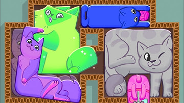 Puzzle Cats - All Levels Gameplay Android, iOS