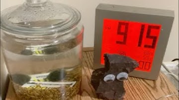 The Freedom of Uselessness | Part 216 | By Samuel Felinton and Declan Mungovan