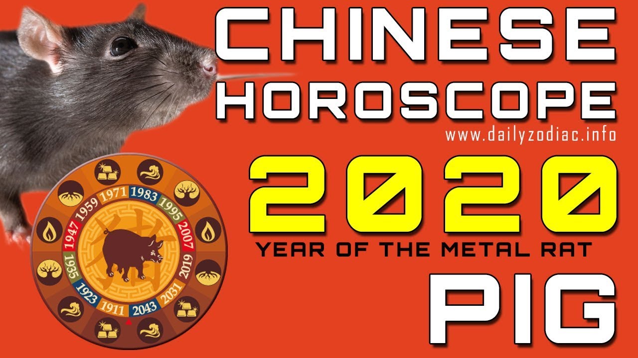 Pig Horoscope 2020 Chinese Predictions Youtube