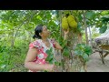 Baby Jackfruit - What&#39;s Going On, Village Morning Routine | mali cooking life