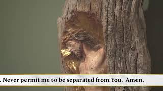 The Celebration of the Eucharist