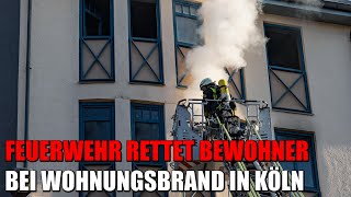 Dichter Qualm aus allen Fenstern - Feuerwehr Köln rettet Bewohner aus brennendem Haus | 13.12.2022