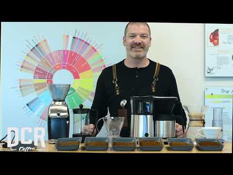 Find Your Perfect Coffee Grind Setting with Phil