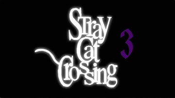 Stray Cat Crossing | 3