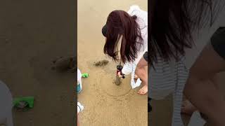 Come to the beach with your friends for some beachcombing and enjoy the freedom of catching mantis